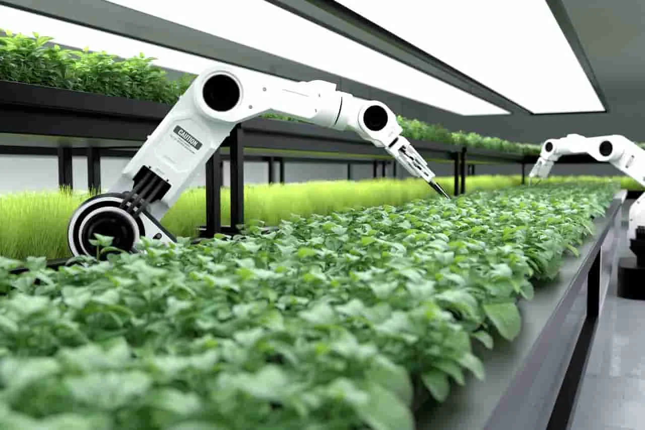 El impacto de la tecnología en la industria de la alimentación y la evolución de la gastronomía.