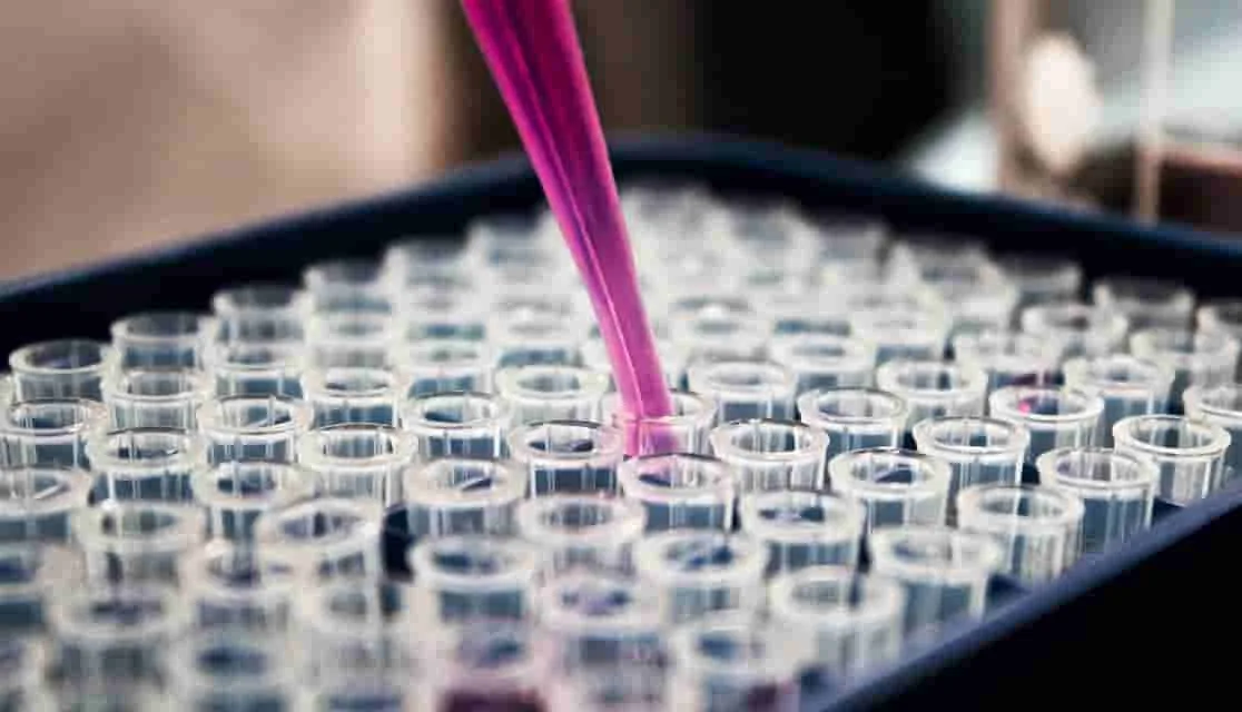 La revolución de la biotecnología en la industria farmacéutica y su impacto en el desarrollo de medicamentos.