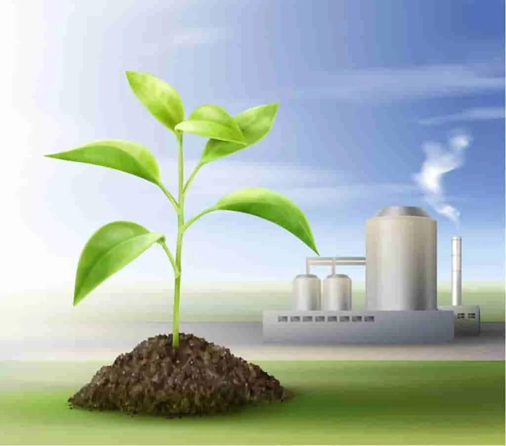 La revolución de la energía de biomasa y su contribución a la generación de energía sostenible y la gestión de residuos.