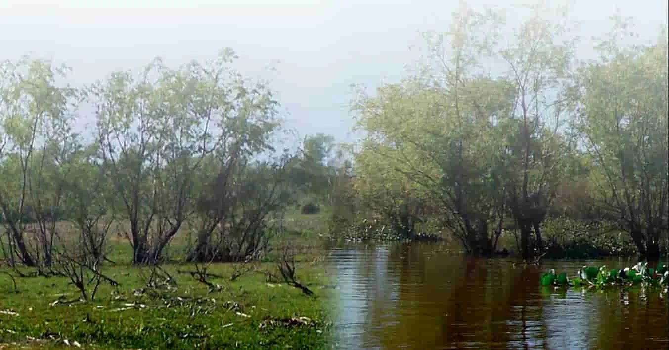 Los desafíos de la conservación de los humedales y su importancia para la biodiversidad y el equilibrio ecológico.