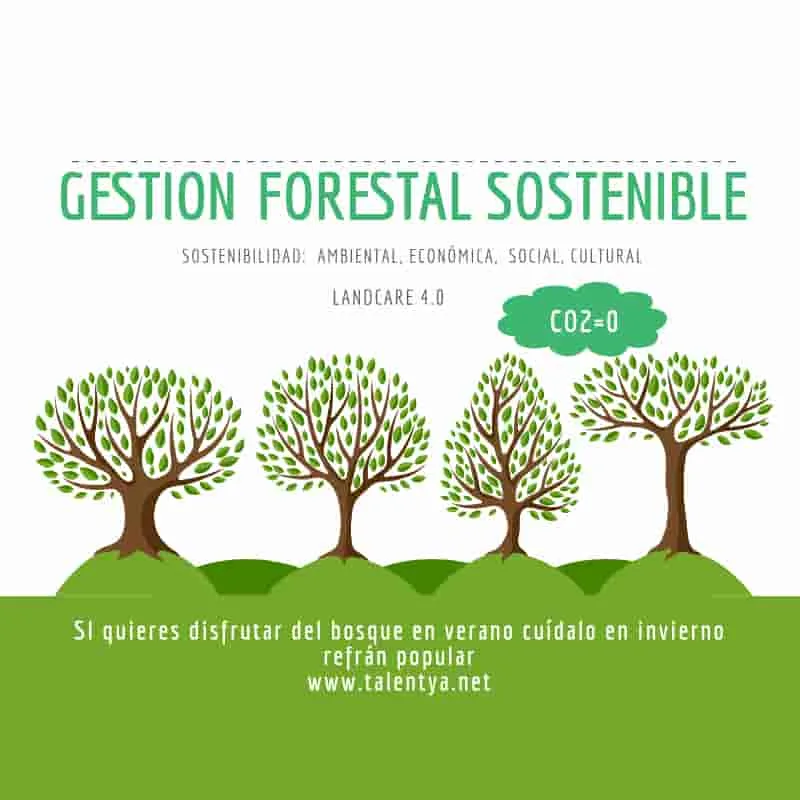 Los desafíos de la gestión sostenible de los recursos forestales y su impacto en la mitigación del cambio climático.